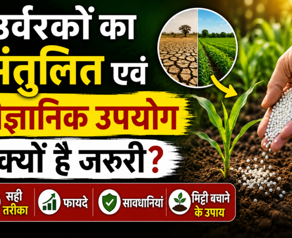 Organic and Chemical Fertilizer Balance