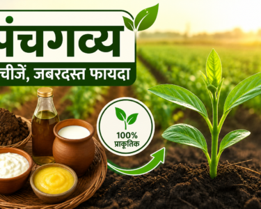 Panchagavya Organic Fertilizer