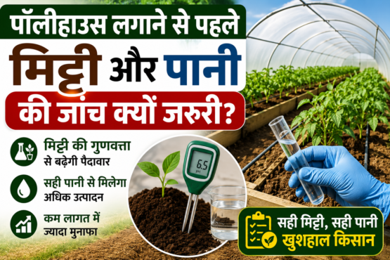 Polyhouse Farming