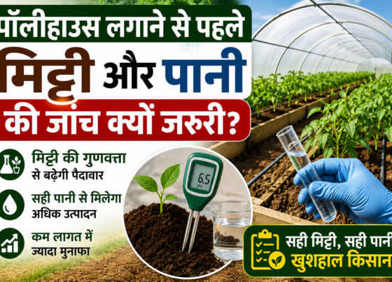 Polyhouse Farming