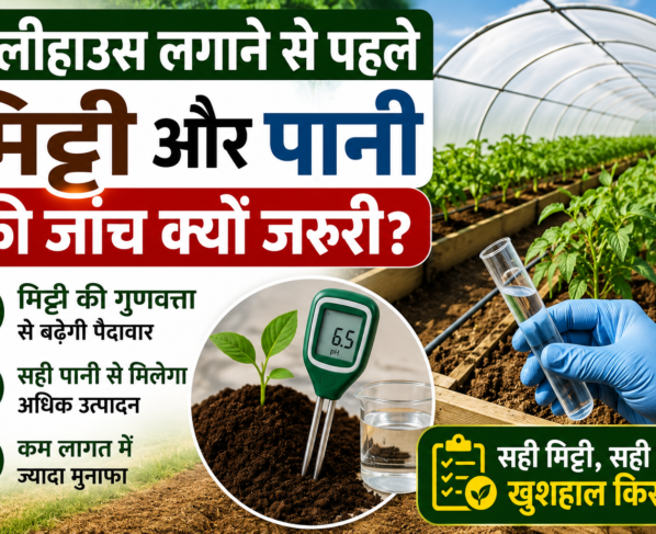 Polyhouse Farming