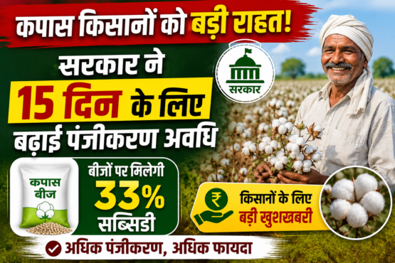 Punjab Cotton Seed Subsidy