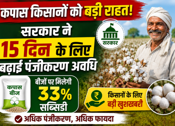 Punjab Cotton Seed Subsidy