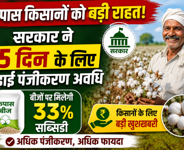 Punjab Cotton Seed Subsidy