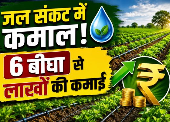 Rajasthan Farmer Ramkunwar Success Story