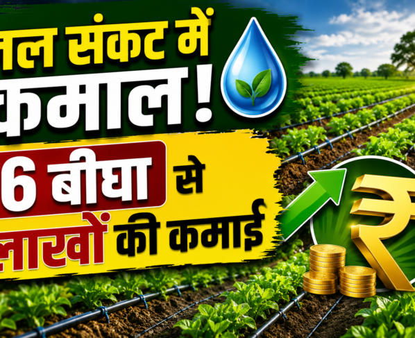 Rajasthan Farmer Ramkunwar Success Story