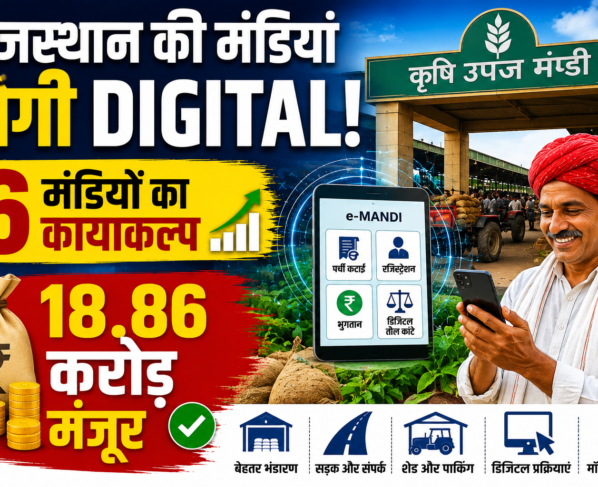 Rajasthan Mandi Development