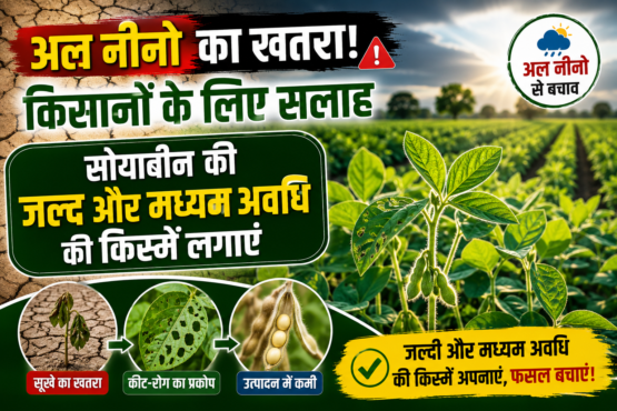 Soybean Varieties for El Nino