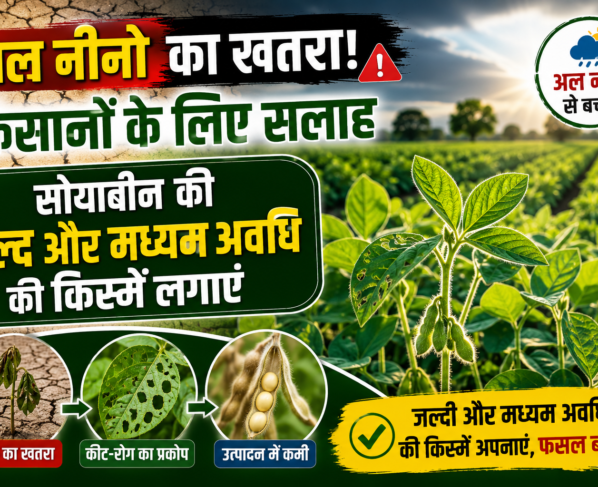 Soybean Varieties for El Nino