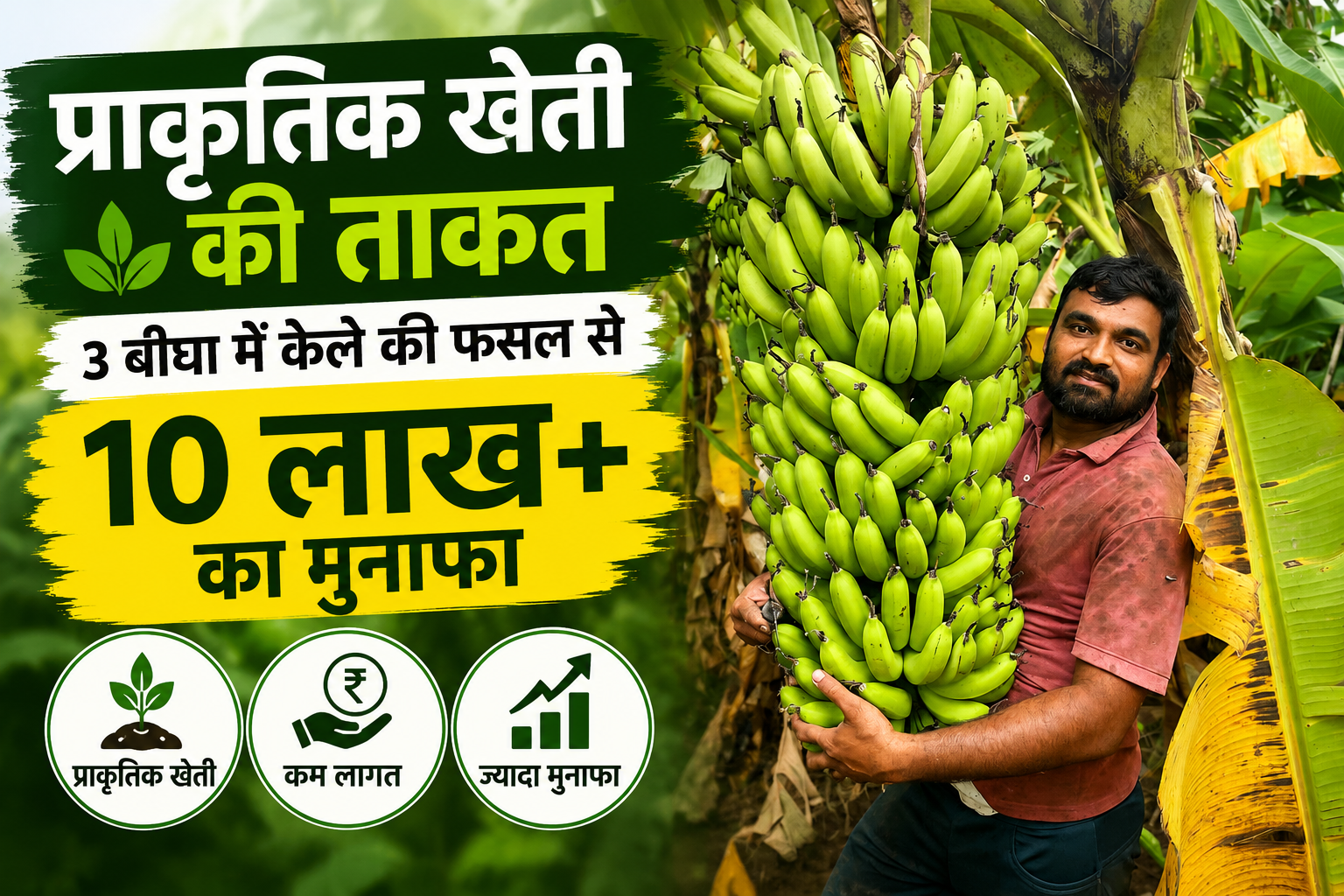 पिता को कैंसर से खोया, बेटे ने छोड़ी रासायनिक खेती, 3.5 बीघा में केले से कमा रहा 12 लाख रुपये Success Story of Kalpesh Patel Natural Banana Farming in Gujarat