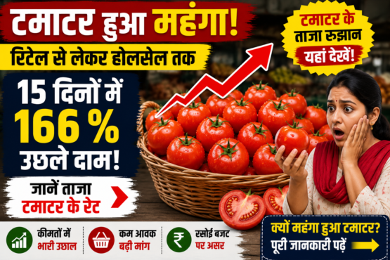 Tamatar Ka Bhav Today