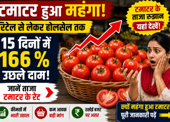 Tamatar Ka Bhav Today
