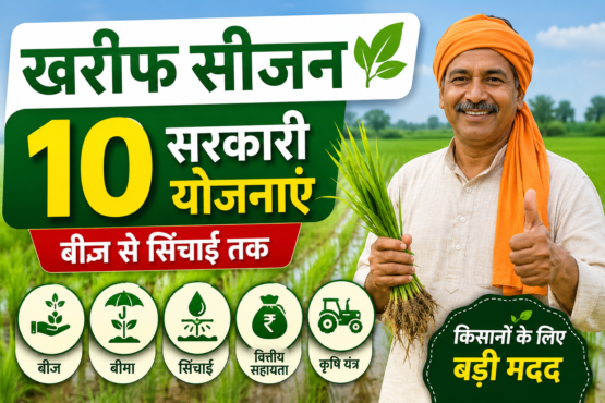 Top 10 Govt Schemes for Farmers in Kharif Season