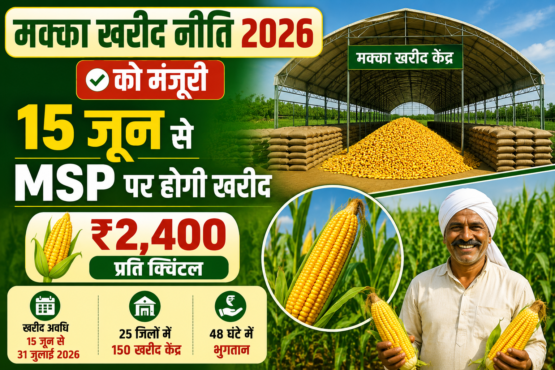 UP Maize MSP Purchase Policy 2026