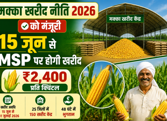UP Maize MSP Purchase Policy 2026