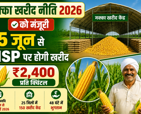 UP Maize MSP Purchase Policy 2026