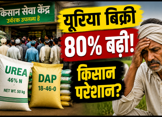 Urea Fertilizer Demand Increase 2026