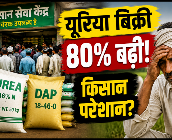 Urea Fertilizer Demand Increase 2026