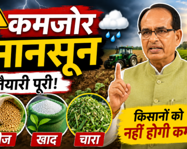 Weak Monsoon Input Supply Update