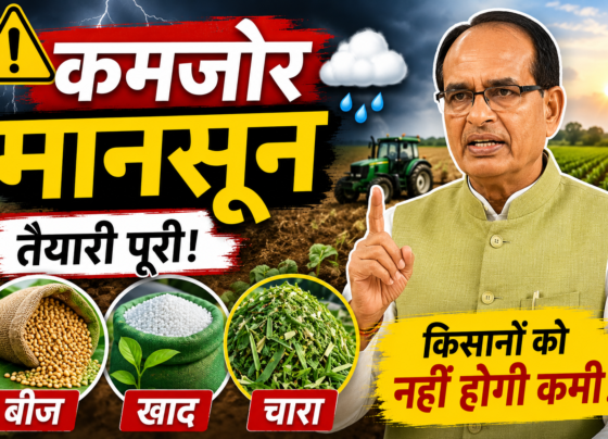 Weak Monsoon Input Supply Update