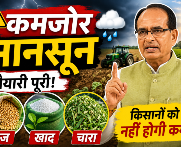 Weak Monsoon Input Supply Update
