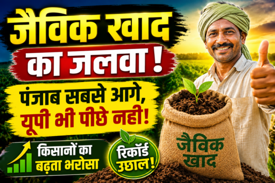 Organic Fertilizer Usage in India 2026