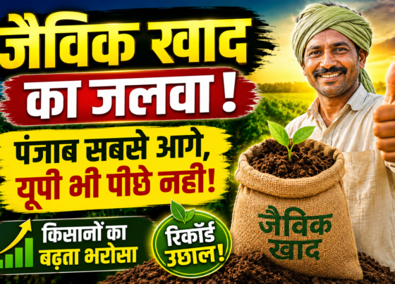 Organic Fertilizer Usage in India 2026