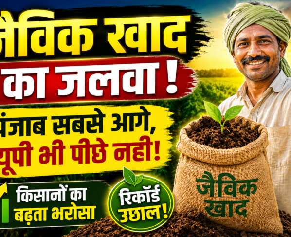 Organic Fertilizer Usage in India 2026