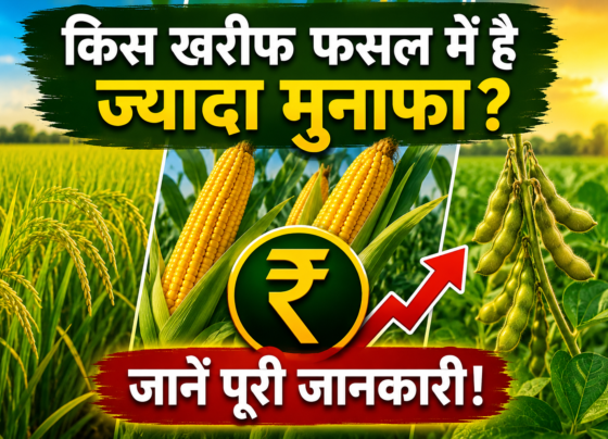 Kis Kharif Fasal Mein Hai Jyada Munafa