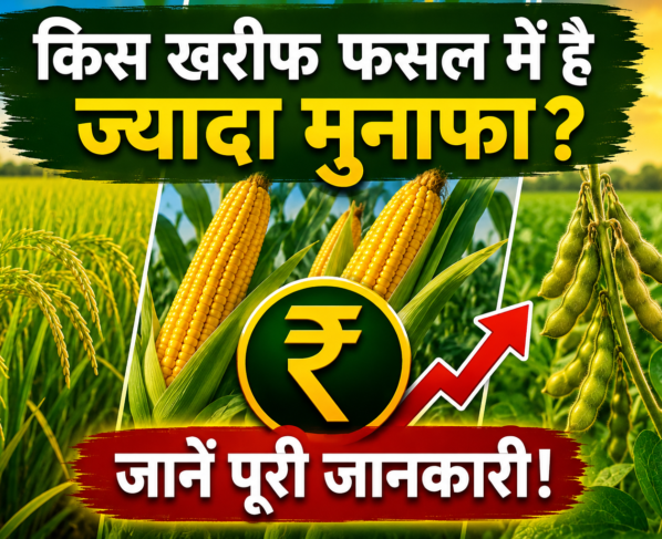 Kis Kharif Fasal Mein Hai Jyada Munafa