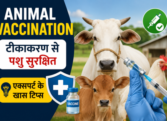 Animal Vaccination