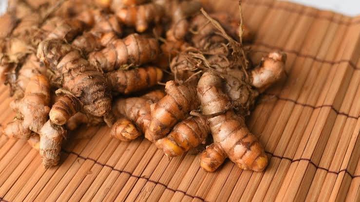 ICAR Turmeric Variety