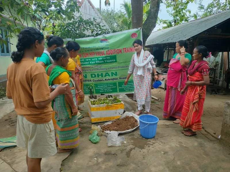 Success Story Of Kanika Talukdar Vermicompost Business In Assam