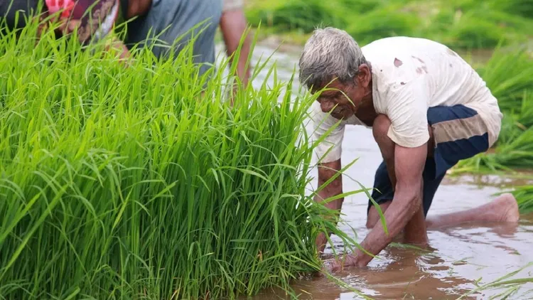Monsoon Update 2026 