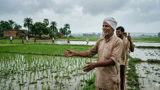 Paddy Procurement Date