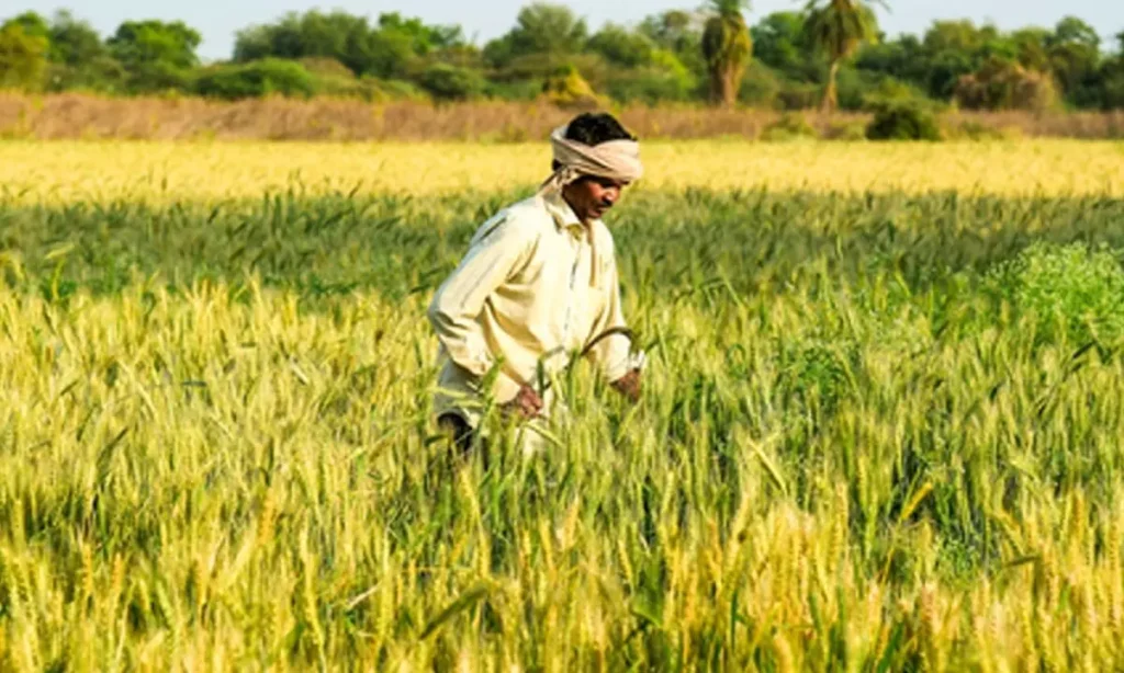 Agriculture Equipment Subsidy
