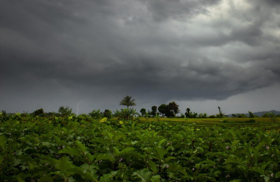 Madhyapradesh Weather Update Today