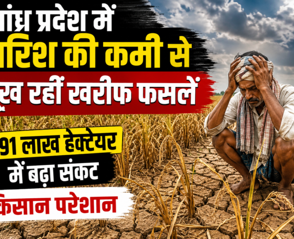 Andhra Pradesh Me Barish Ki Kami Se Kharif Faslen Sukh Rahi Hai