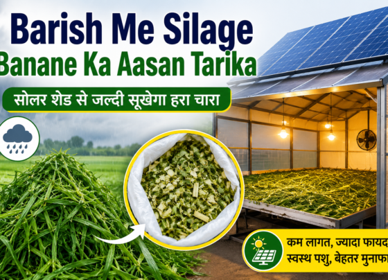Barish Me Silage Banane Ka Aasan Tarika