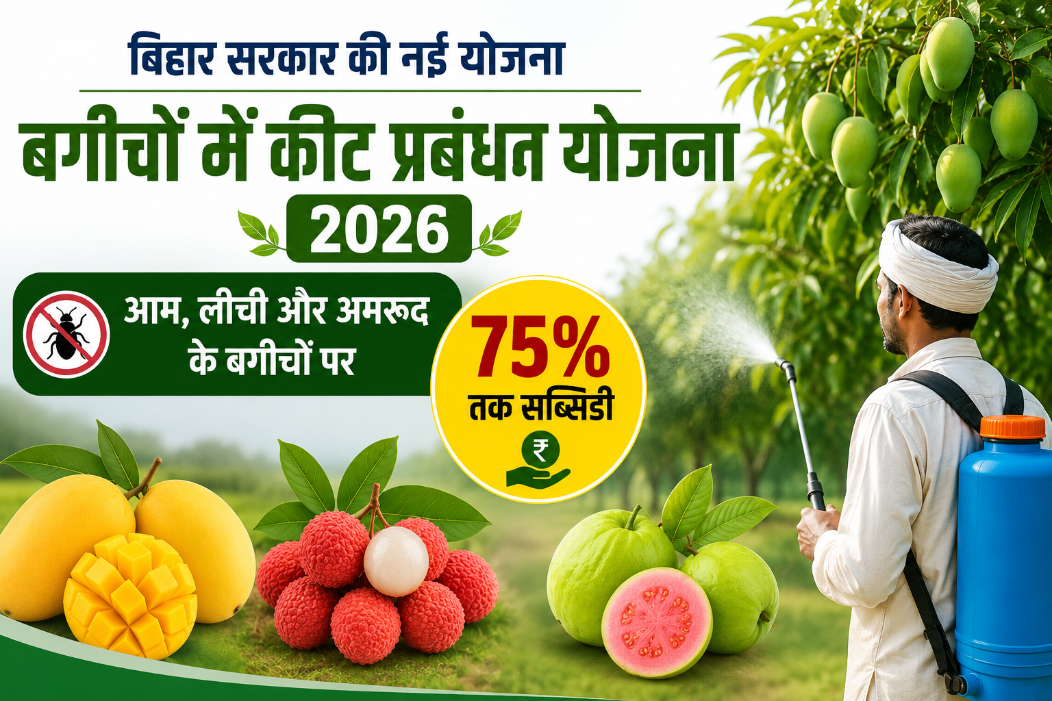 बिहार के बागवानी किसानों को बड़ी राहत आम, लीची और अमरूद के बगीचों पर 75% तक सब्सिडी  Bihar Bagichon Mein Keet Prabandhan Yojana 2026