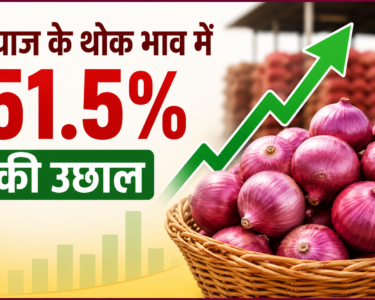 Bharat Mein Pyaj Ke Thok Bhav Mein 51.5 Percent Ki Badhotri