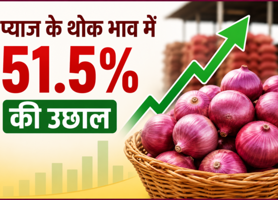 Bharat Mein Pyaj Ke Thok Bhav Mein 51.5 Percent Ki Badhotri