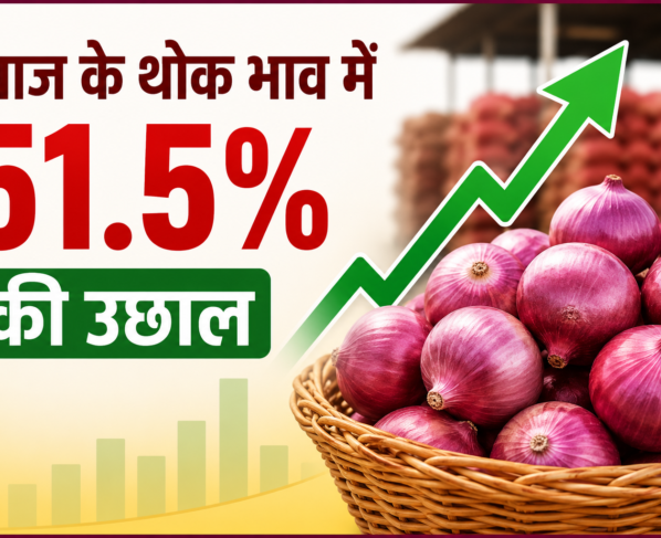 Bharat Mein Pyaj Ke Thok Bhav Mein 51.5 Percent Ki Badhotri