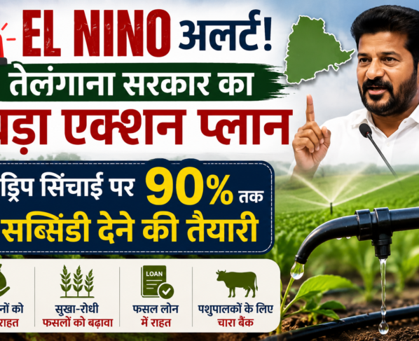 El Nino Ke Asar Se Telangana Sarkar Ka Action Plan