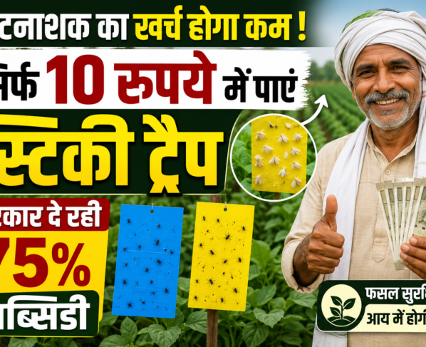 Sirf 10 Rupaye Me Sticky Trap Par 75 Pratishat Subsidy