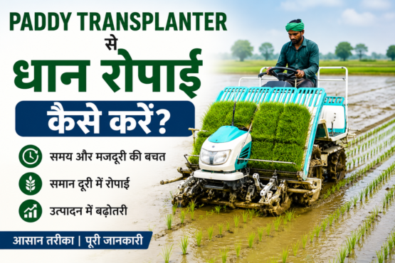 Paddy Transplanter Se Dhan Ki Ropai Kaise Kare