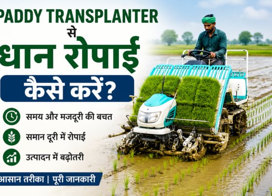 Paddy Transplanter Se Dhan Ki Ropai Kaise Kare