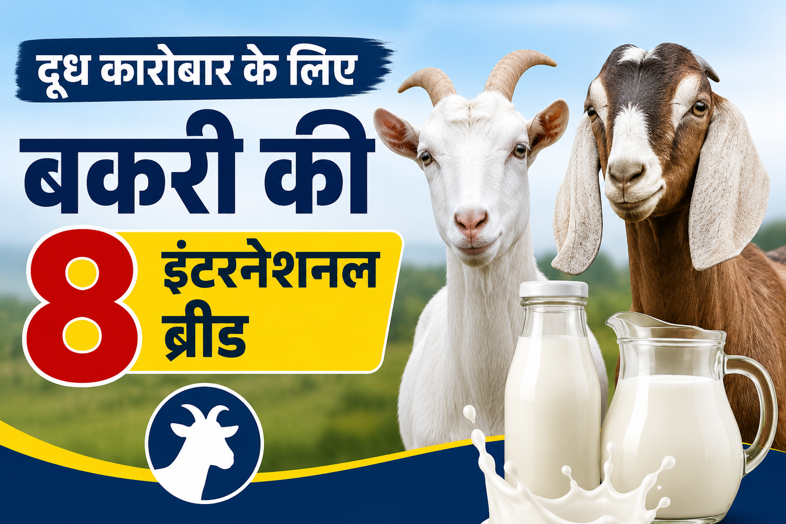 दूध कारोबार के लिए बकरी की 8 इंटरनेशनल ब्रीड, जानें कौन-सी नस्ल देती है सबसे ज्यादा दूध Doodh Karobar Ke Liye Bakri Ki 8 International Breed