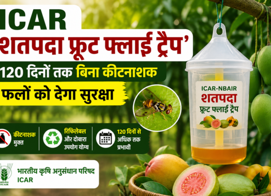 ICAR Shatpada Fruit Fly Trap Kaise Kaam Karta Hai