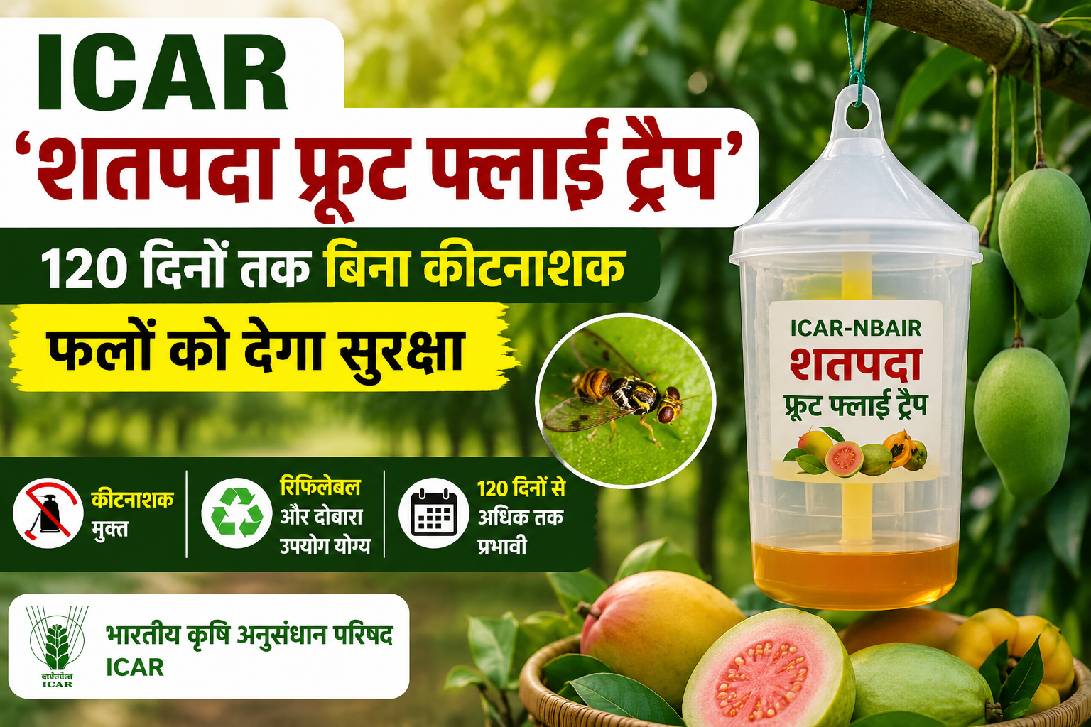 120 दिनों तक बिना कीटनाशक फलों की सुरक्षा, किसानों के लिए नई तकनीक ICAR Shatpada Fruit Fly Trap Kaise Kaam Karta Hai